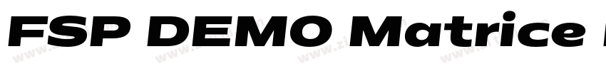 FSP DEMO Matrice M字体转换 FSP DEMO Matrice M字体转换